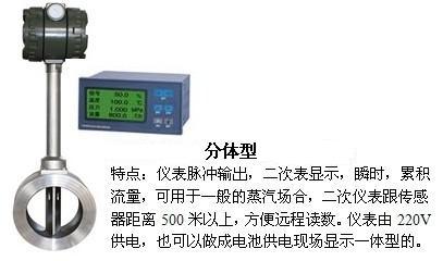 dn25渦街流量計分體型產品圖